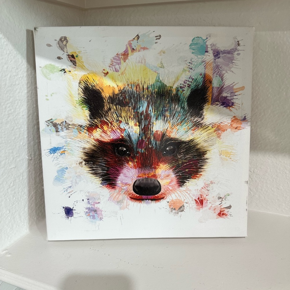 Colorful raccoon print